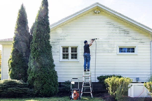 Best Roof Washing  in Earlvle, IL