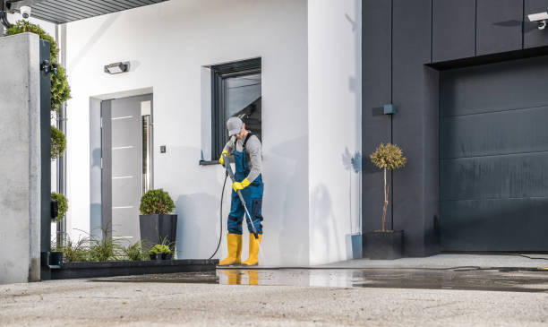 Best Animal Enclosure Cleaning  in Earlvle, IL